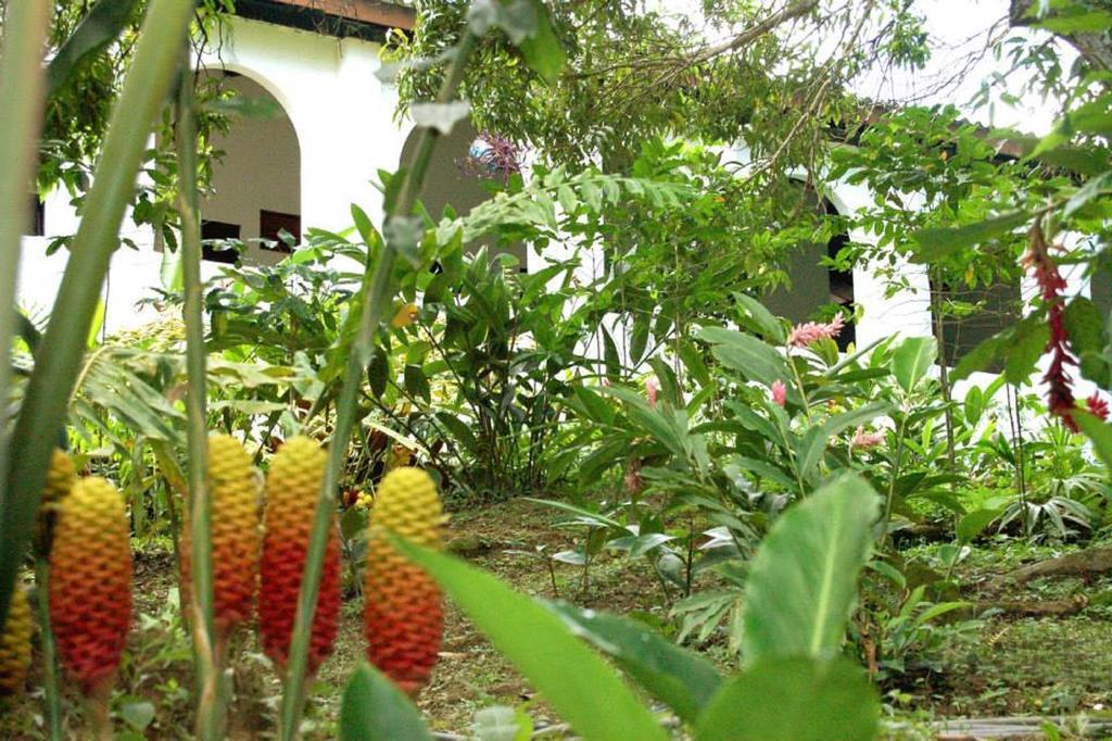 Hotel Minca - La Casona Exterior foto